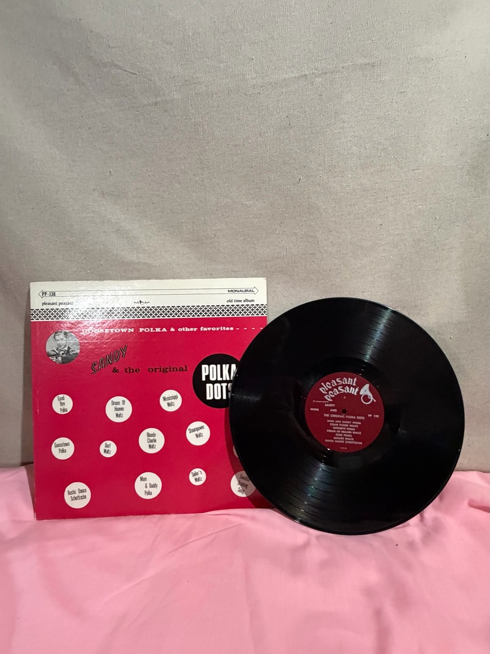 Pleasant peasant Vinyl Record - sandy & the original goosetown polka